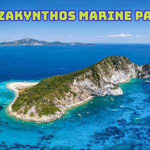 Turtle Spotting Tour with local guides brothers Dimitri & Pantelis in Zakynthos Marine Park