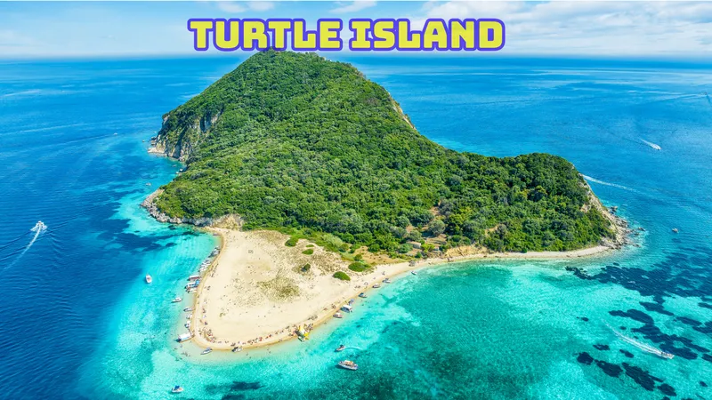 Turtle Spotting Tour with local guides brothers Dimitri & Pantelis in Zakynthos Marine Park