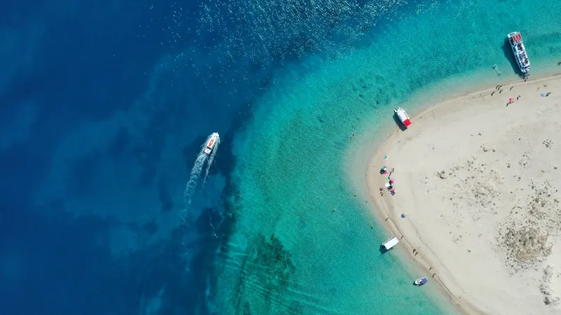 Turtle Spotting Tour with local guides brothers Dimitri & Pantelis in Zakynthos Marine Park