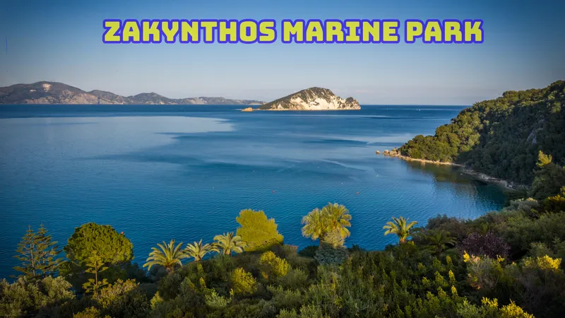 Mizithres Sunset Cruise Zakynthos | Turtle Spotting Tour
